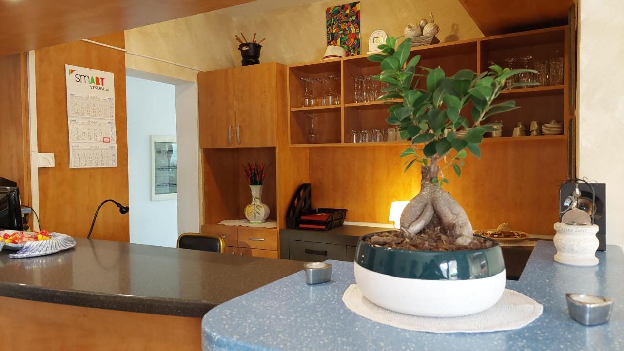 Bed And Breakfast La Rossa Umag Exteriér fotografie